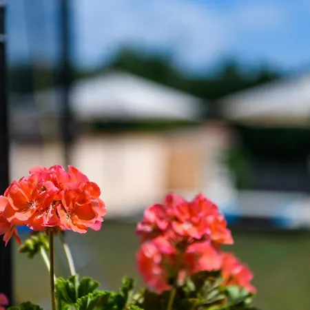 House Angela With Private Pool, Private Parking, Wi-fi And Fully Fenced Garden - Wiibuk Villa Divsici