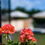 House Angela With Private Pool, Private Parking, Wi-fi And Fully Fenced Garden - Wiibuk Вилла Divsici